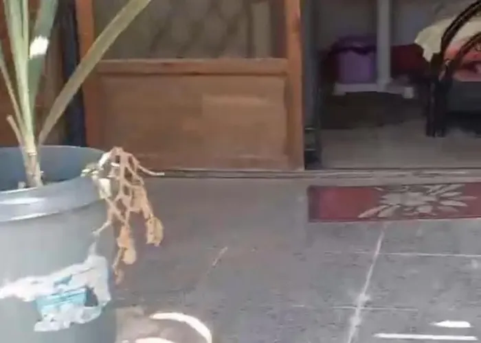 Sayed Деревянный коттедж *