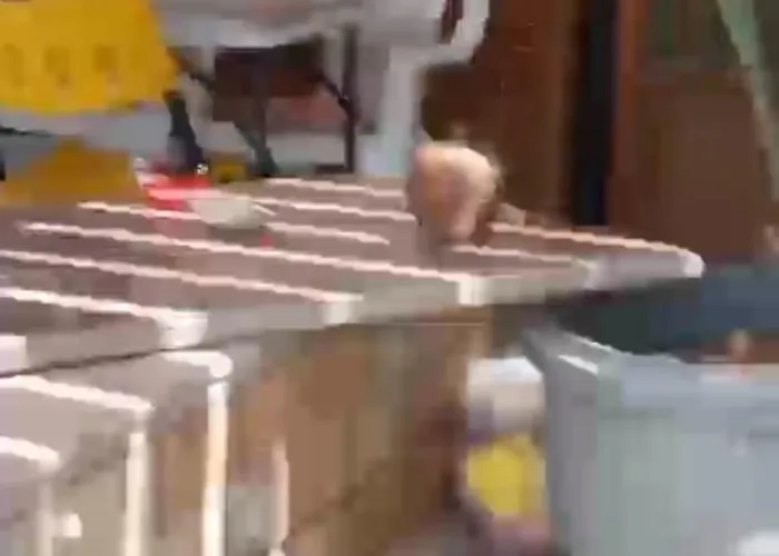 Sayed Деревянный коттедж *
